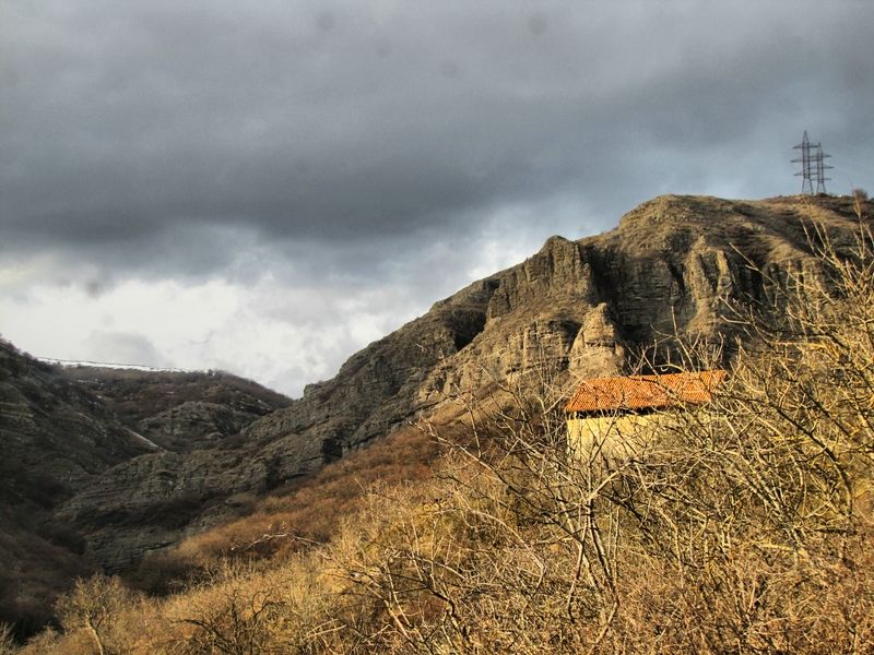 ლაშქრობა კოჯრის ტყეებში + ასურეთული შავის დეგუსტაცია