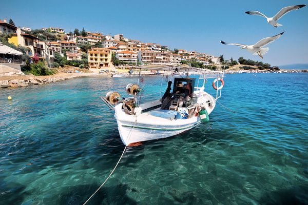 ჰალკიდიკი