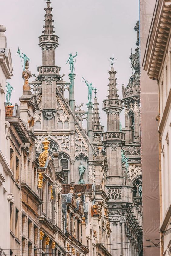 ბრიუსელი