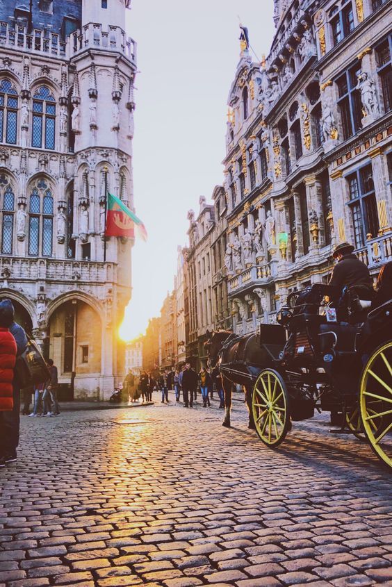 ბრიუსელი