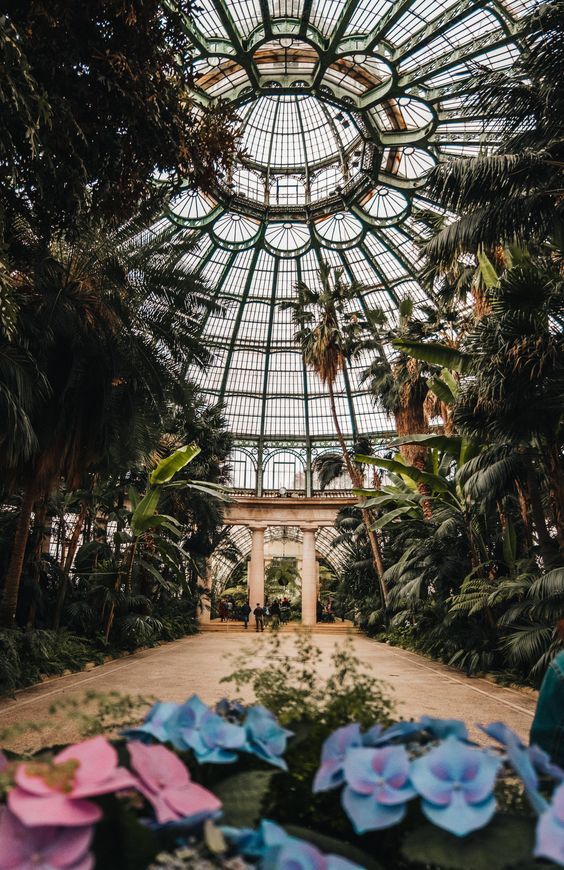 ბრიუსელი