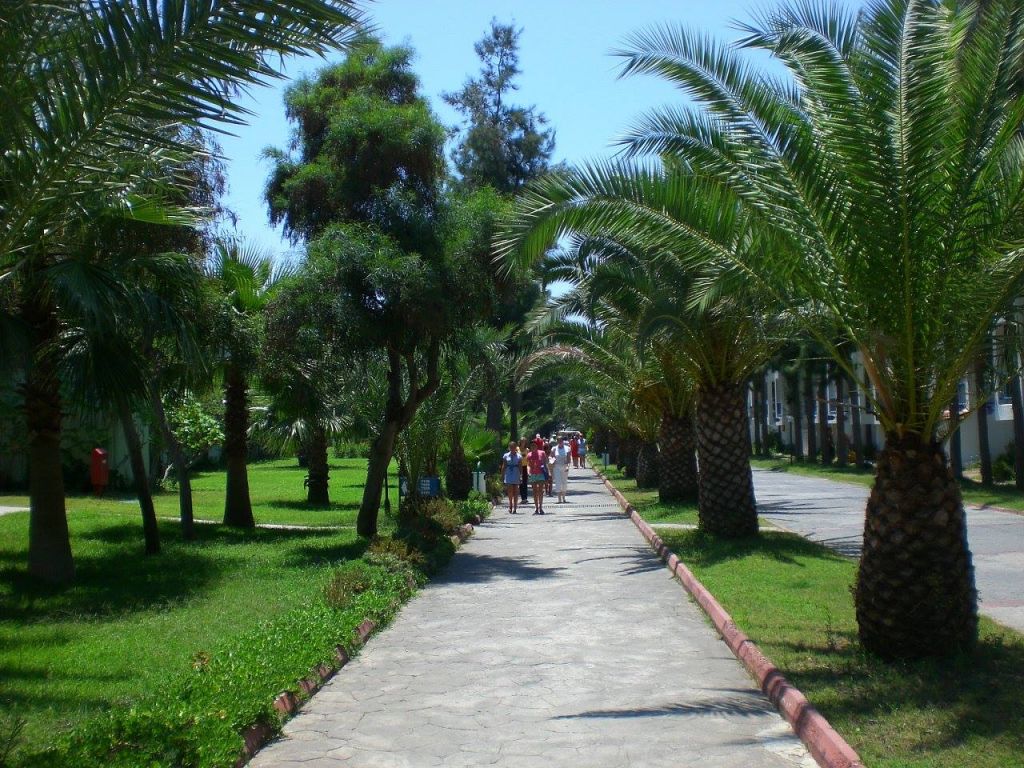 თურქეთი ალანია