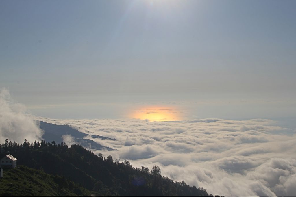 გომისმთა / განიტვირთე ფენომენალურად/