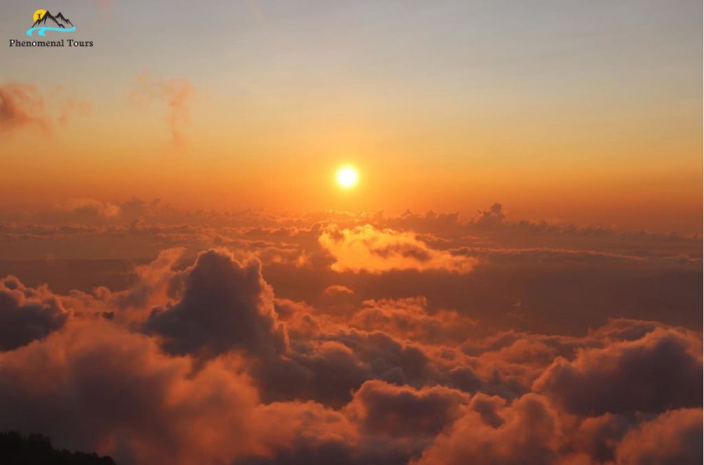 გომისმთა /ზღაპრული გარემო/ ყოველ შაბათ-კვირას/- ივლისი