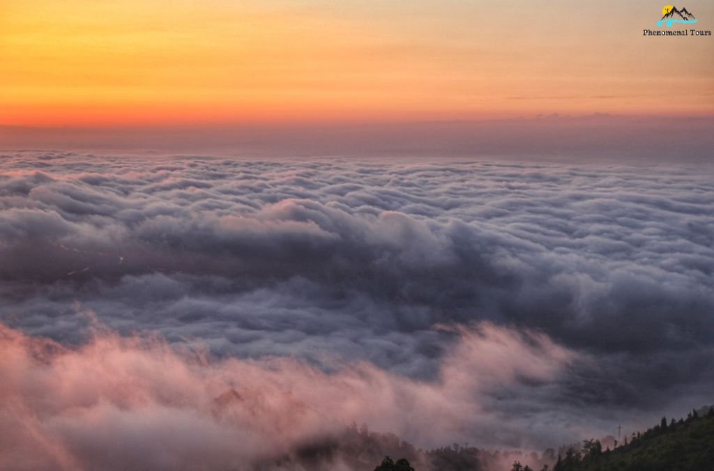 გომისმთის დღიანი ტური / განიტვირთე ფენომენალურად