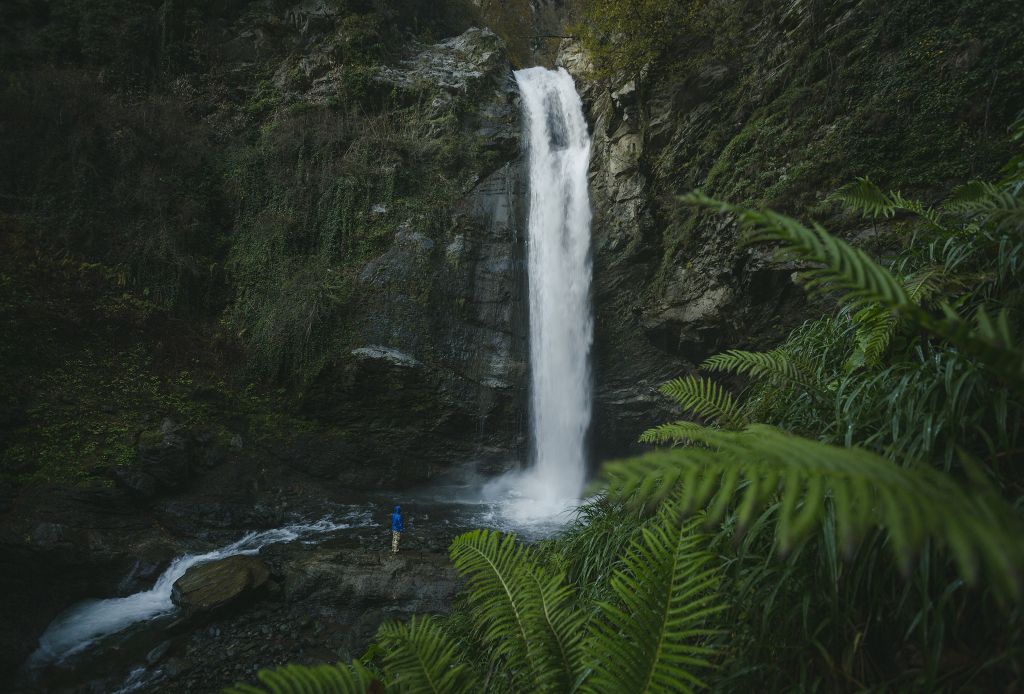 ტური ლაგოდეხის ნაკრძალში (გურგენიანის ჩანჩქერი) ივლისს