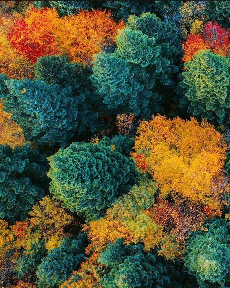 რაჭა და ცხრაჯვარი!!!  ნოემბერს , კვირას