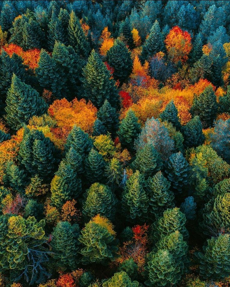 რაჭა და ცხრაჯვარი!!!  ნოემბერს , კვირას