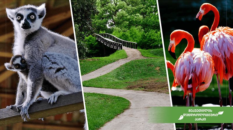 ტური დენდროლოგიურ პარკში (შეკვეთილი) ფლორა და ფაუნა ულამაზესი სანახაობა