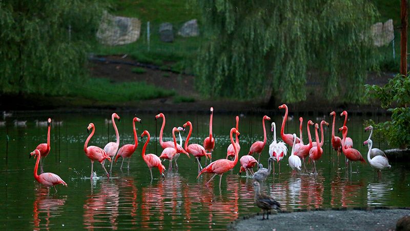 ერთდღიანი ტური შეკვეთილში