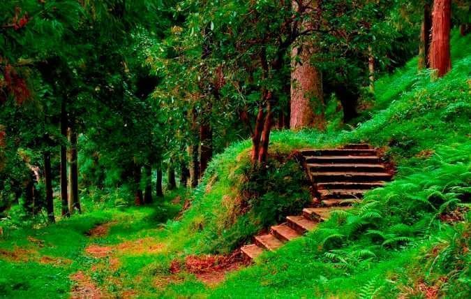 დღიანი ტური ბათუმში ... შეკვეთილის დენდროლოგიური პარკი, ბათუმის ბულვარი, გონიოს ციხე, დელფინარიუმი, ბოტანიკური ბაღი...