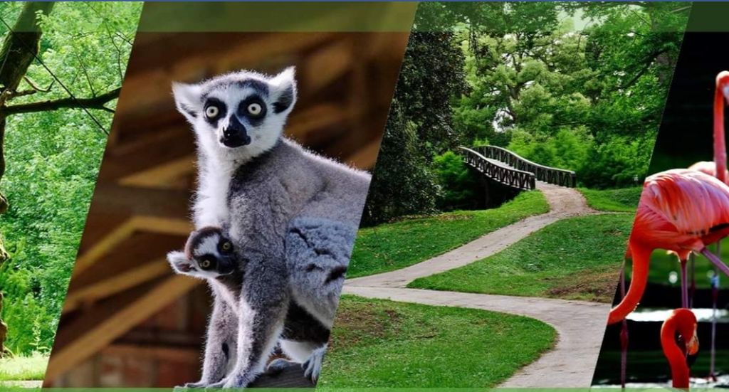 დღიანი ტური ბათუმში ... შეკვეთილის დენდროლოგიური პარკი, ბათუმის ბულვარი, გონიოს ციხე, დელფინარიუმი, ბოტანიკური ბაღი...