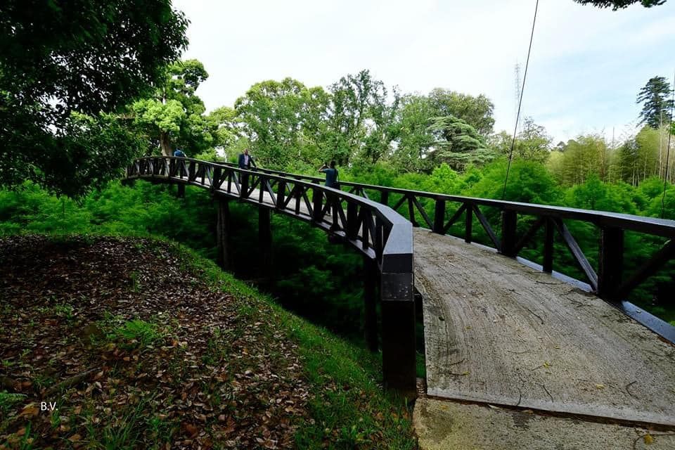 დენდროლოგიური პარკი და მინიატურების ქალაქი! აგვისტოს, კვირას