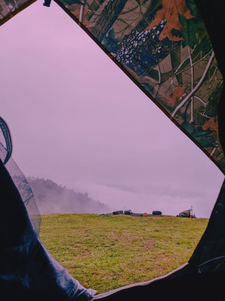 გომისმთა / დენდროლოგიური პარკი / ზღვა / ზღაპრული ტური - აგვისტოს