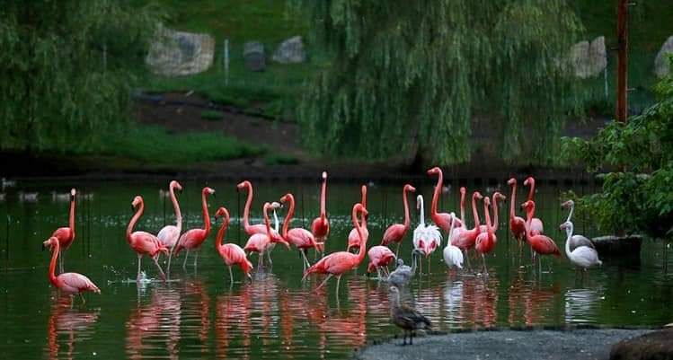 გთავაზობთ შეკვეთილის ორ დღიან ტურს