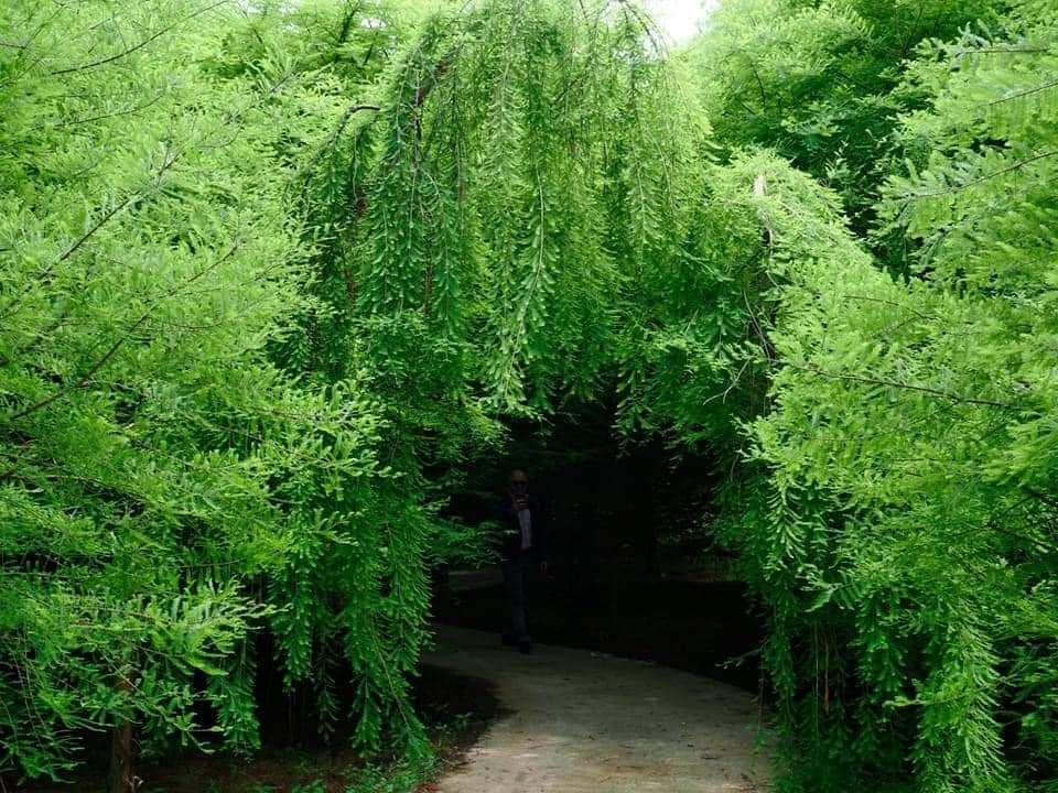 გთავაზობთ შეკვეთილის ორ დღიან ტურს