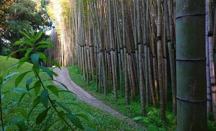 გთავაზობთ შეკვეთილის ორ დღიან ტურს