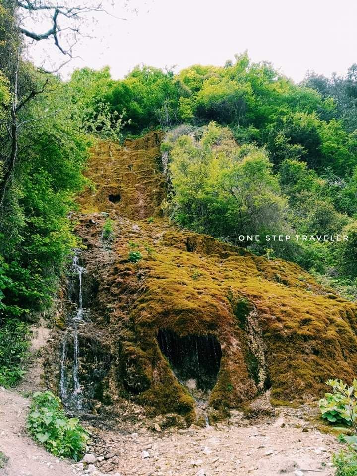 ტურების განრიგი