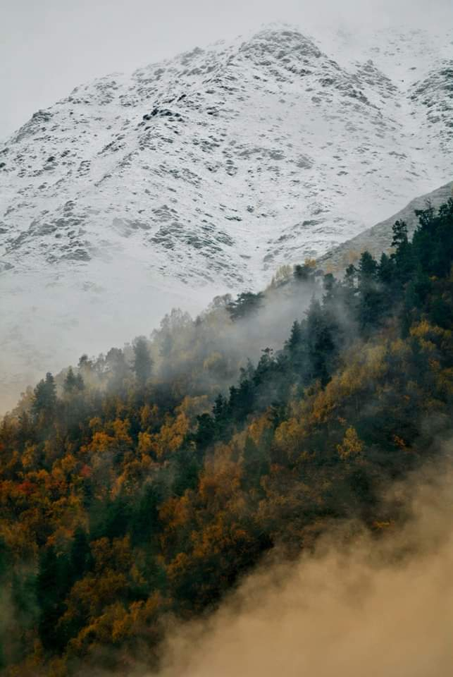 .. ოქტომბერი დღიანი დაუვიწყარი ჯიპ-ტური თუშეთში ( )