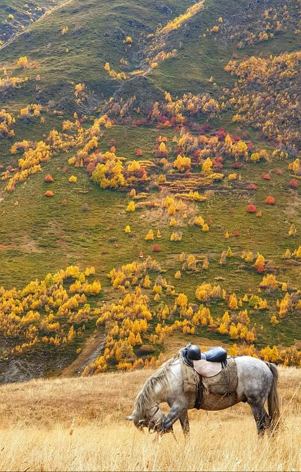 .. ოქტომბერი დღიანი დაუვიწყარი ჯიპ-ტური თუშეთში ( )