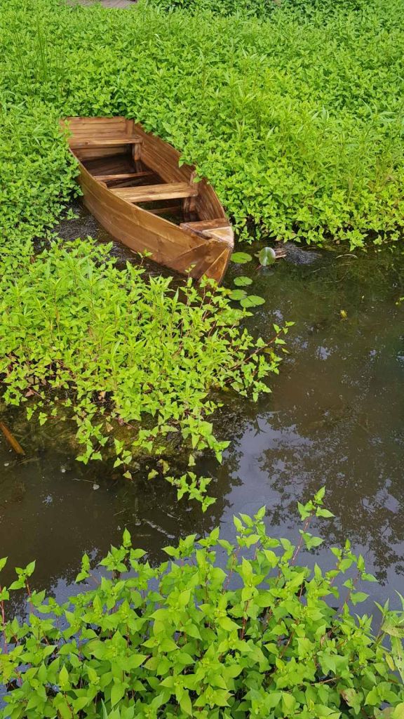 შეკვეთილი,ქობულეთი,ბათუმი