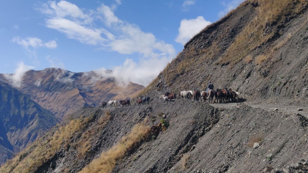 Horse drive from Tusheti to Vashlovani