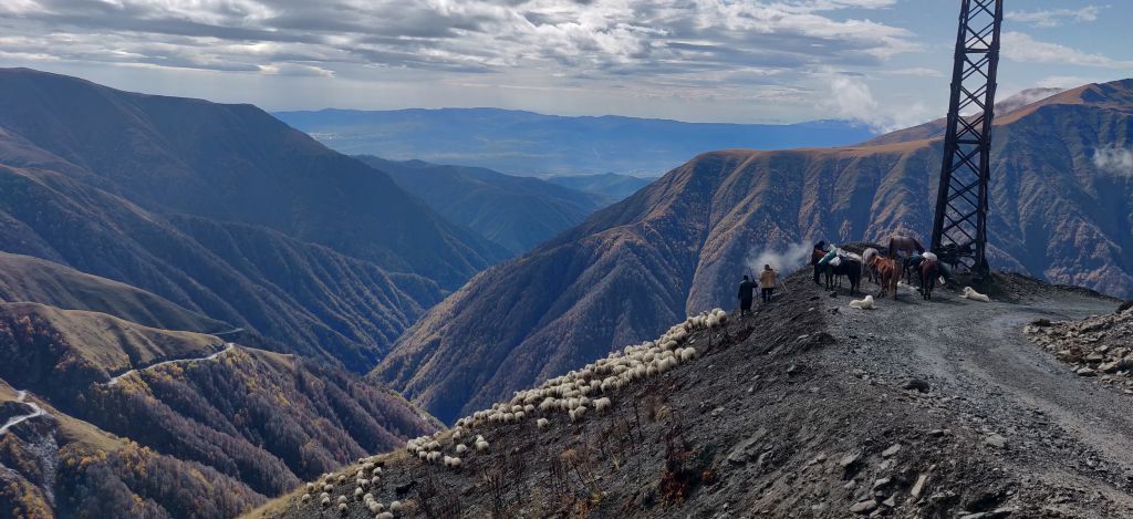Horse drive from Tusheti to Vashlovani