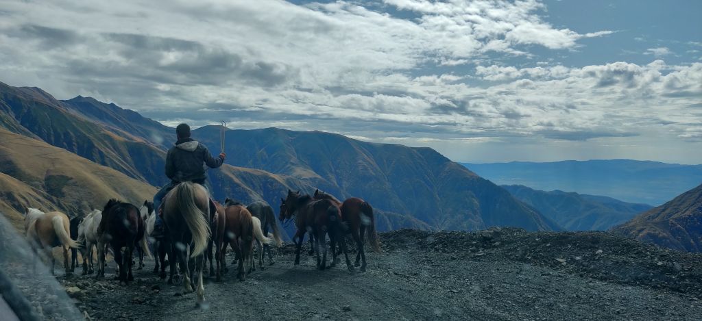 Horse drive from Tusheti to Vashlovani