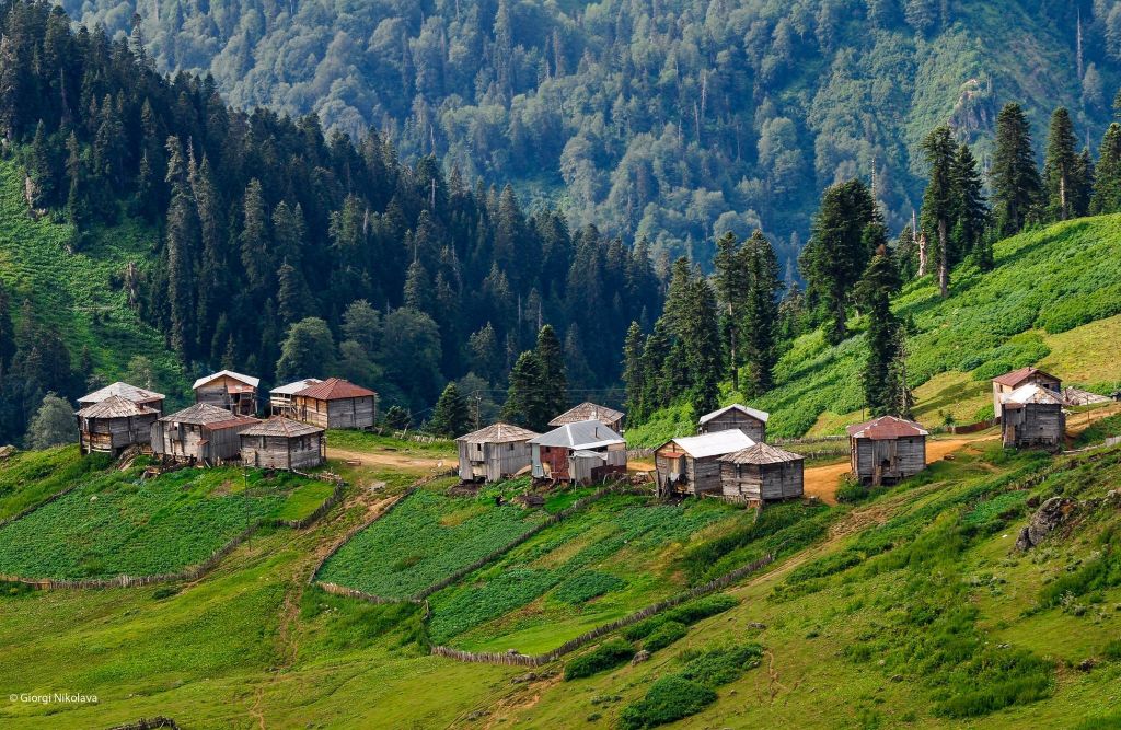 - სექტემბერი _ გომისმთა - დენდროლოგიური პარკის ორდღიანი ტური