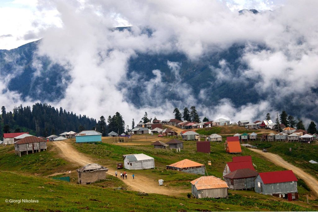 - სექტემბერი _ გომისმთა - დენდროლოგიური პარკის ორდღიანი ტური