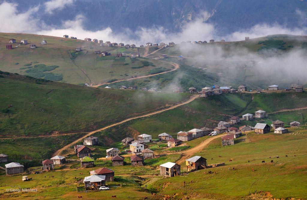 - სექტემბერი _ გომისმთა - დენდროლოგიური პარკის ორდღიანი ტური