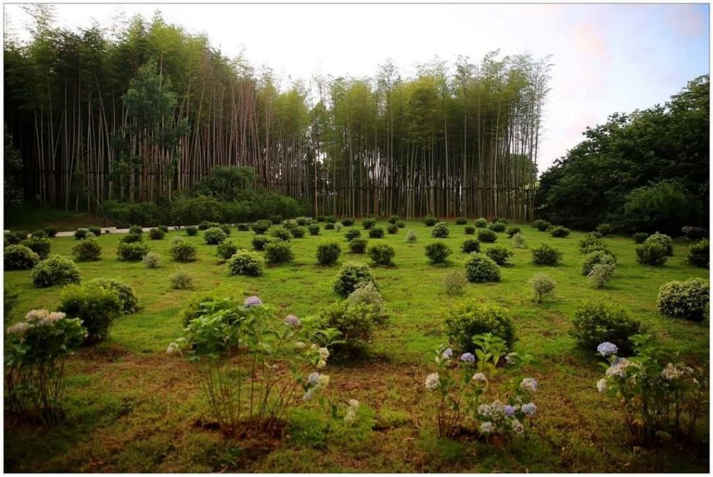 - სექტემბერი _ გომისმთა - დენდროლოგიური პარკის ორდღიანი ტური