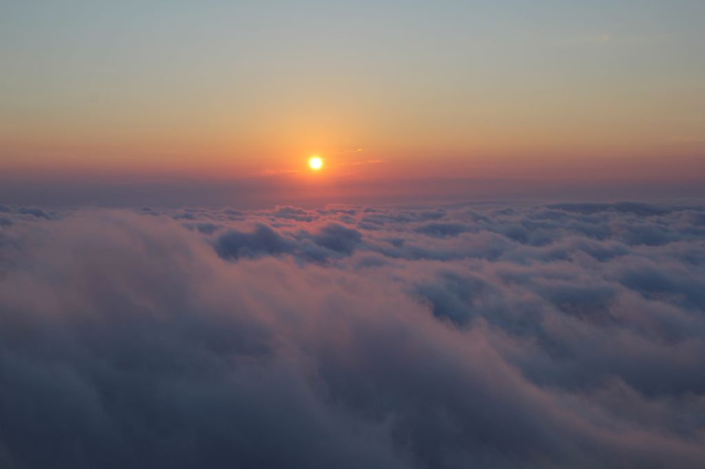 Gomismta + Dendrological Park and seaside (- September)