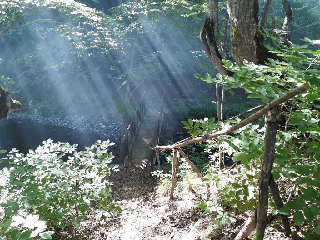 ალგეთის ეროვნული პარკი - სამეფო ქედი