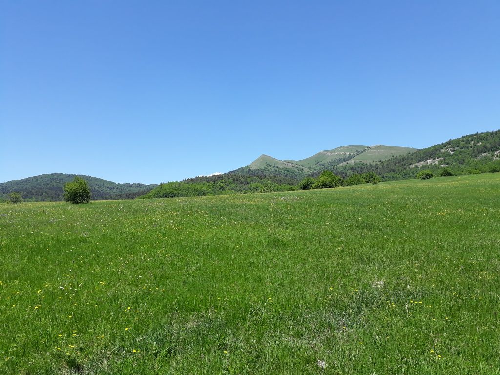 ალგეთის ეროვნული პარკი - სამეფო ქედი