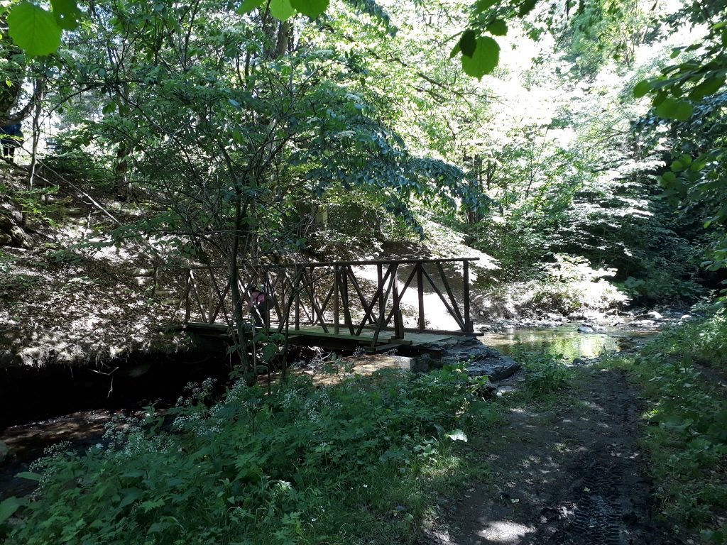 ალგეთის ეროვნული პარკი - სამეფო ქედი