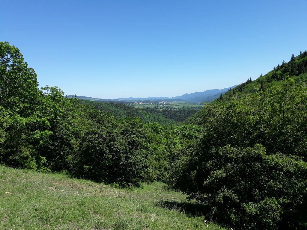 ალგეთის ეროვნული პარკი - სამეფო ქედი