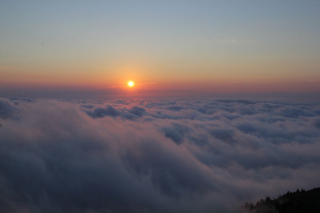 Two Days Trip in Gomismta and  Dendrological park /