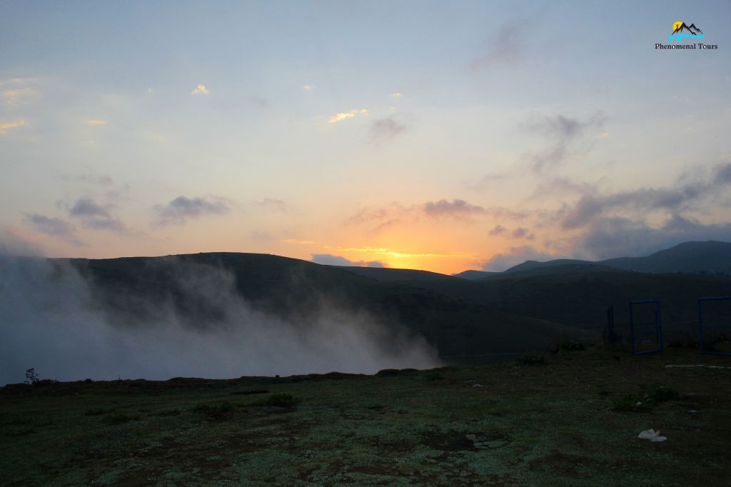გომისმთა + დენდროლოგიური პარკი / განთავსება კოტეჯებში
