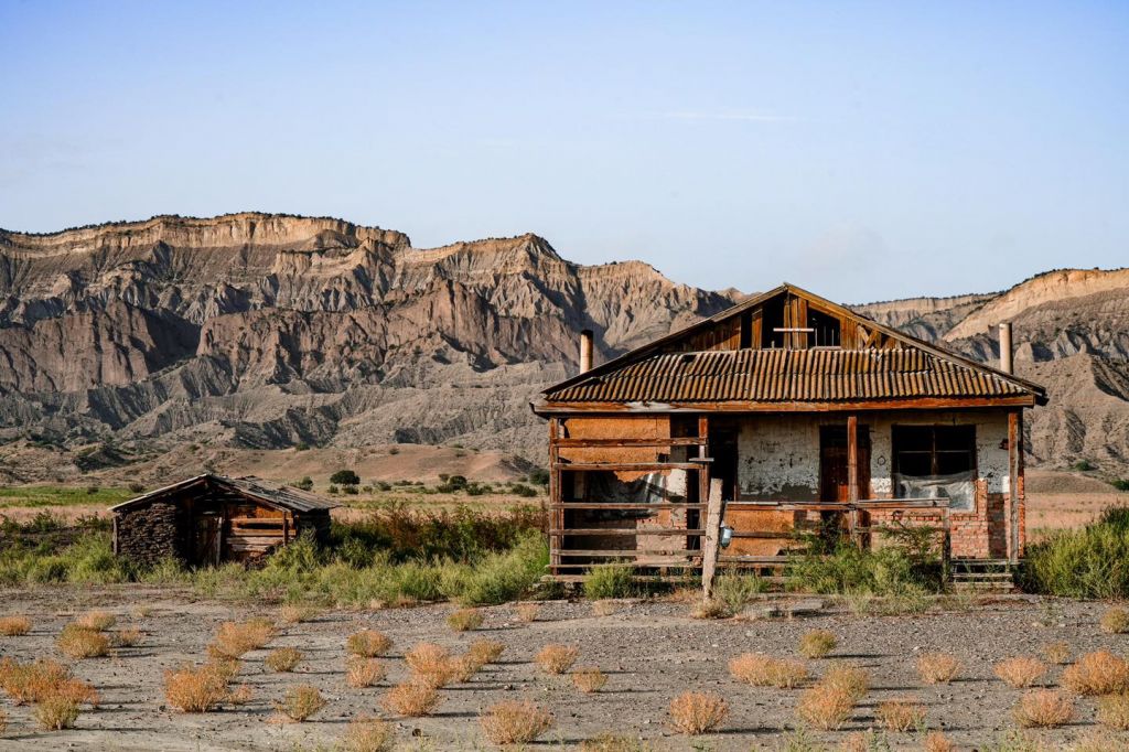 ვაშლოვანი - მიჯნისყურე / დღიანი ჯიპ ტური