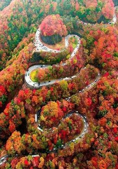 შემოდგომა კახეთში