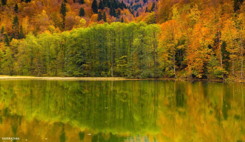 ძამას ხეობა აგვისტო. ( ადგილი)