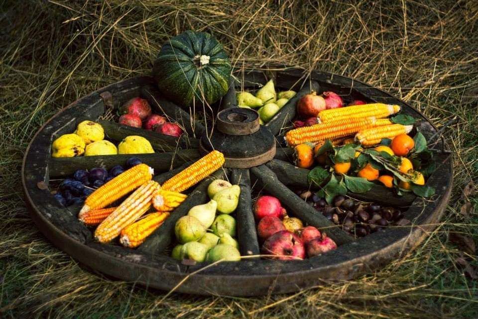 ქანდა,შატო მუხრანი,ოძისი,ქსოვრისი,მჭადიჯვარი და ა.შ