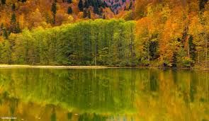 ძამას ხეობა+მზოვრეთი+სარკინეთი+ბატეთის ტბა (სამი ადგილი ფასი )