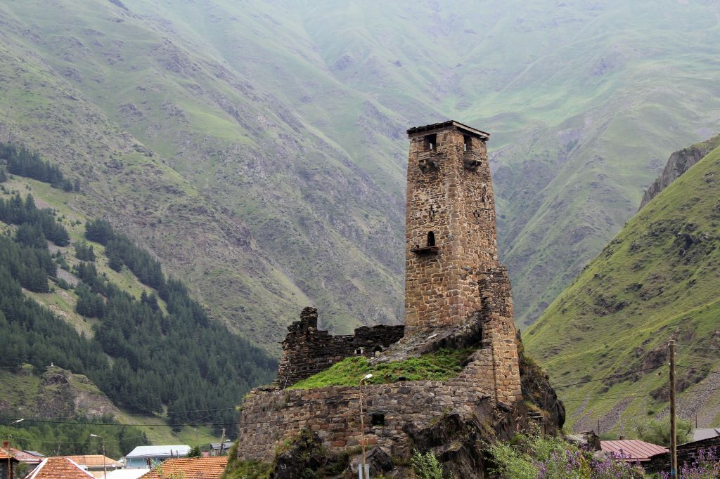 ONE DAY TOUR IN Juta / comfortable transportation