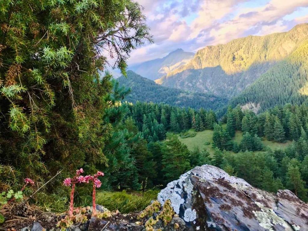 ოქტომბერს დღიანი ტური თუშეთში