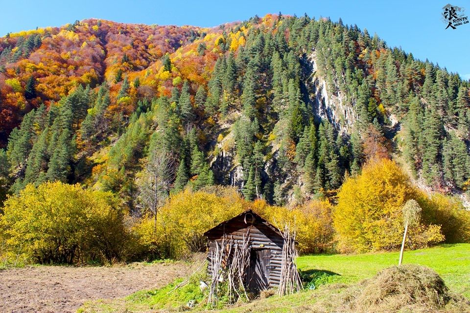 მოირონინე შემოდგომისფერი რაჭა - ცხრაჯვარი, ღები, გონა