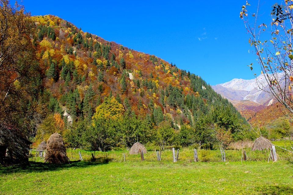 მოირონინე შემოდგომისფერი რაჭა - ცხრაჯვარი, ღები, გონა