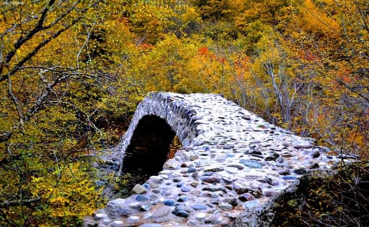 შემოდგომის რკონი