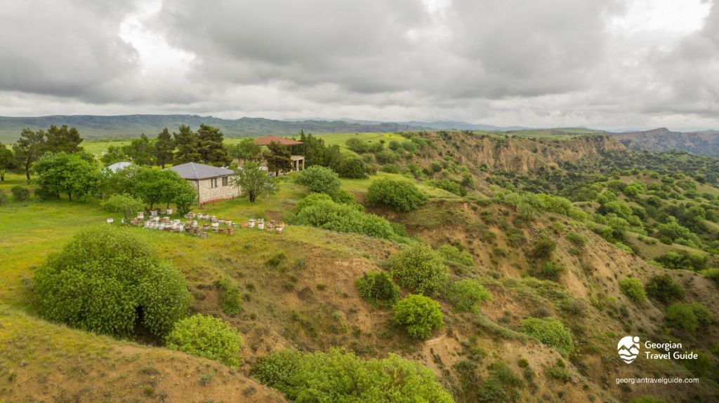 ვაშლოვანი: პანტიშარა, დათვისხევი, მოლუსკები, ალესილები და ა.შ.
